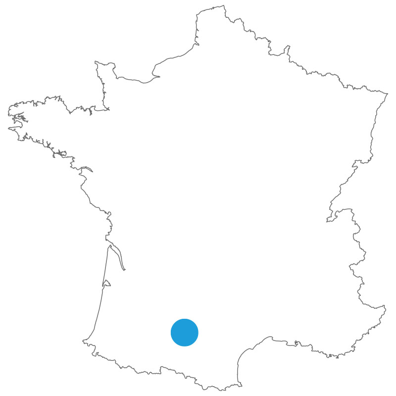 Carte de situation blagnac
