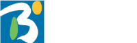 Mairie_Balma.png