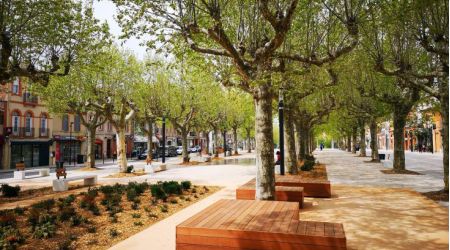 REQUALIFICATION DES ESPACES PUBLICS DES ALLÉES NIEL - MURET (31)